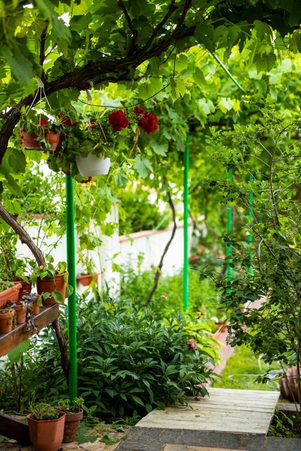 Cherry Villa Созопол Екстериор снимка